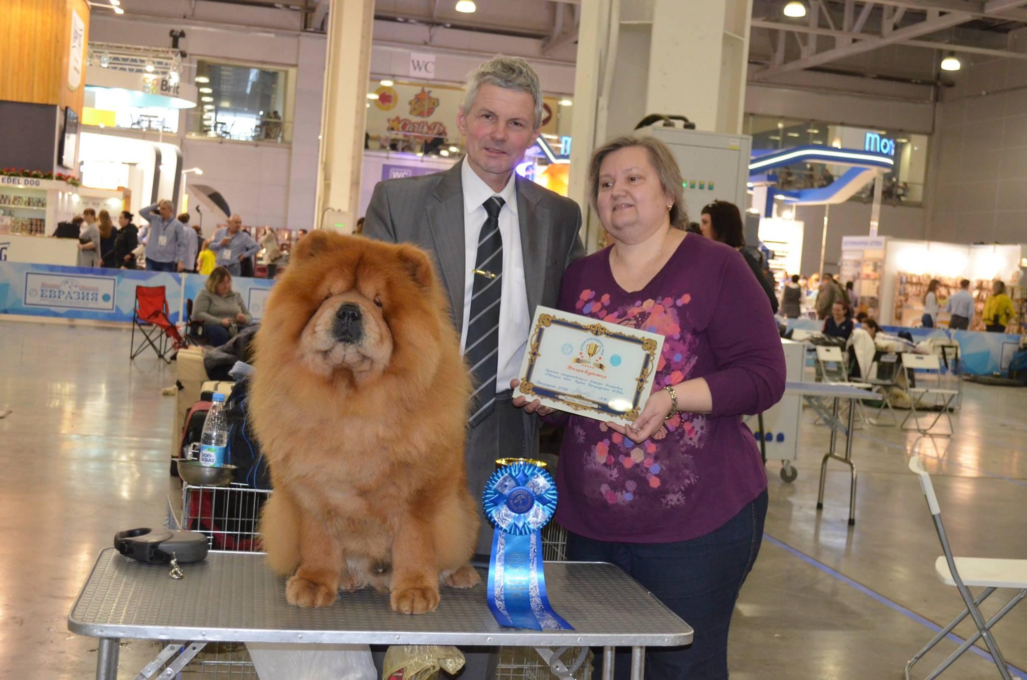 Сеня - 4,5 года -  Евразия-2017 - 19.04.2017г. - отл.1, СW, ЛК, ЛПП