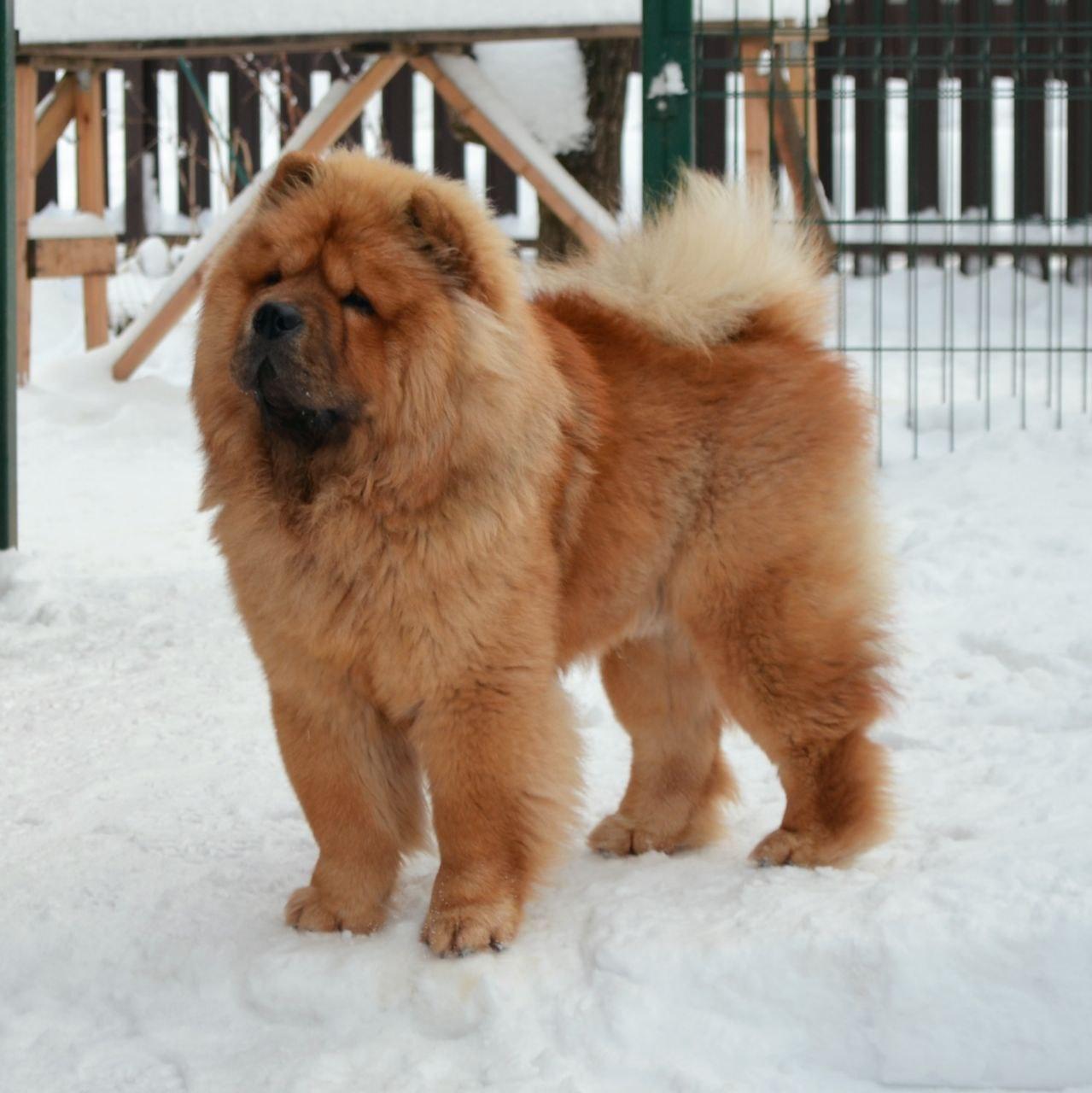 25.10.2025 Hip-Hop Djalo 