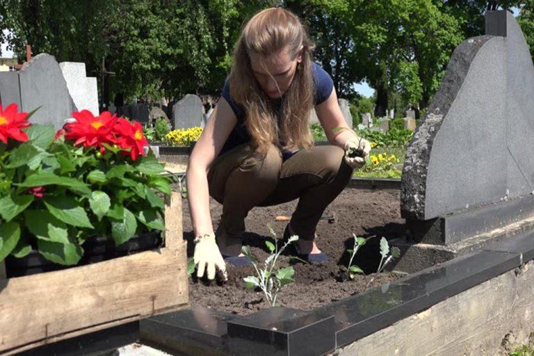 Memory Russia MR | Уборка могил в Нововоронеже, Воронеже, Благоустройство могил и захоронений в Воронежской области.