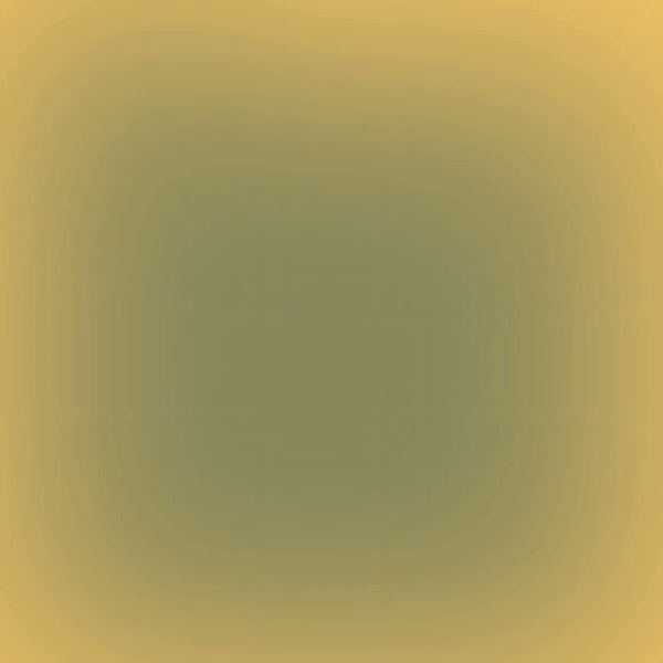 Работа на балансировочных снарядах и улучшение стабильности тела на занятиях в студии "Феникс" в Самаре