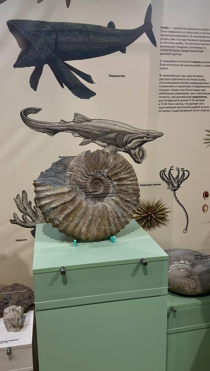 double image second part