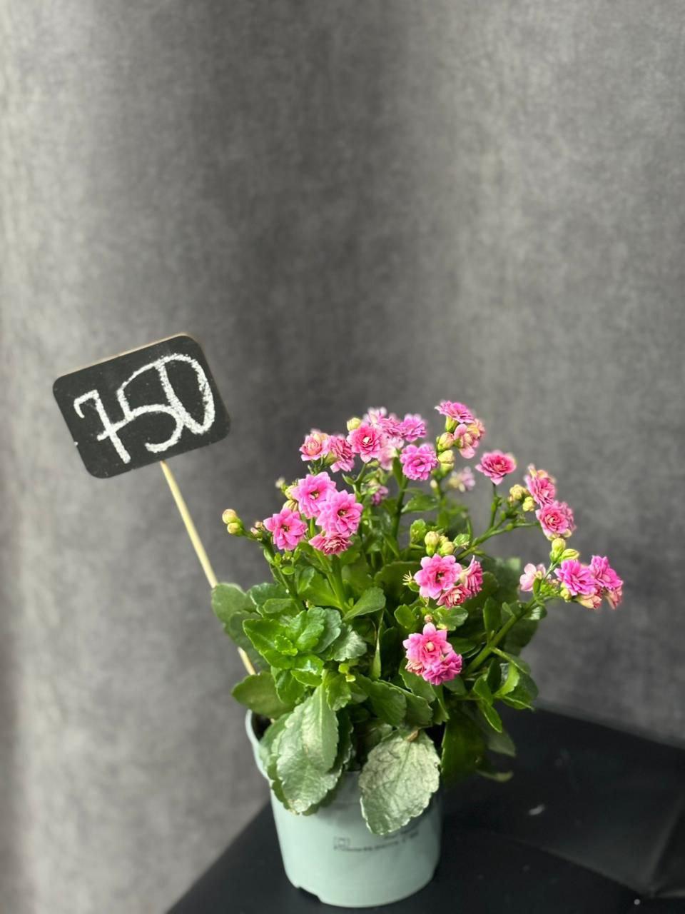 goods image