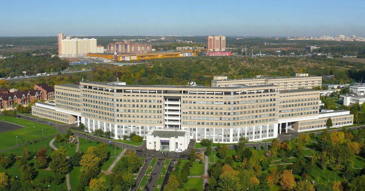 Bashlyaeva Children's