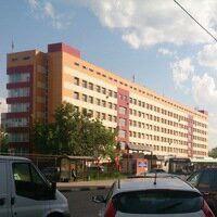 Veltischev Institute