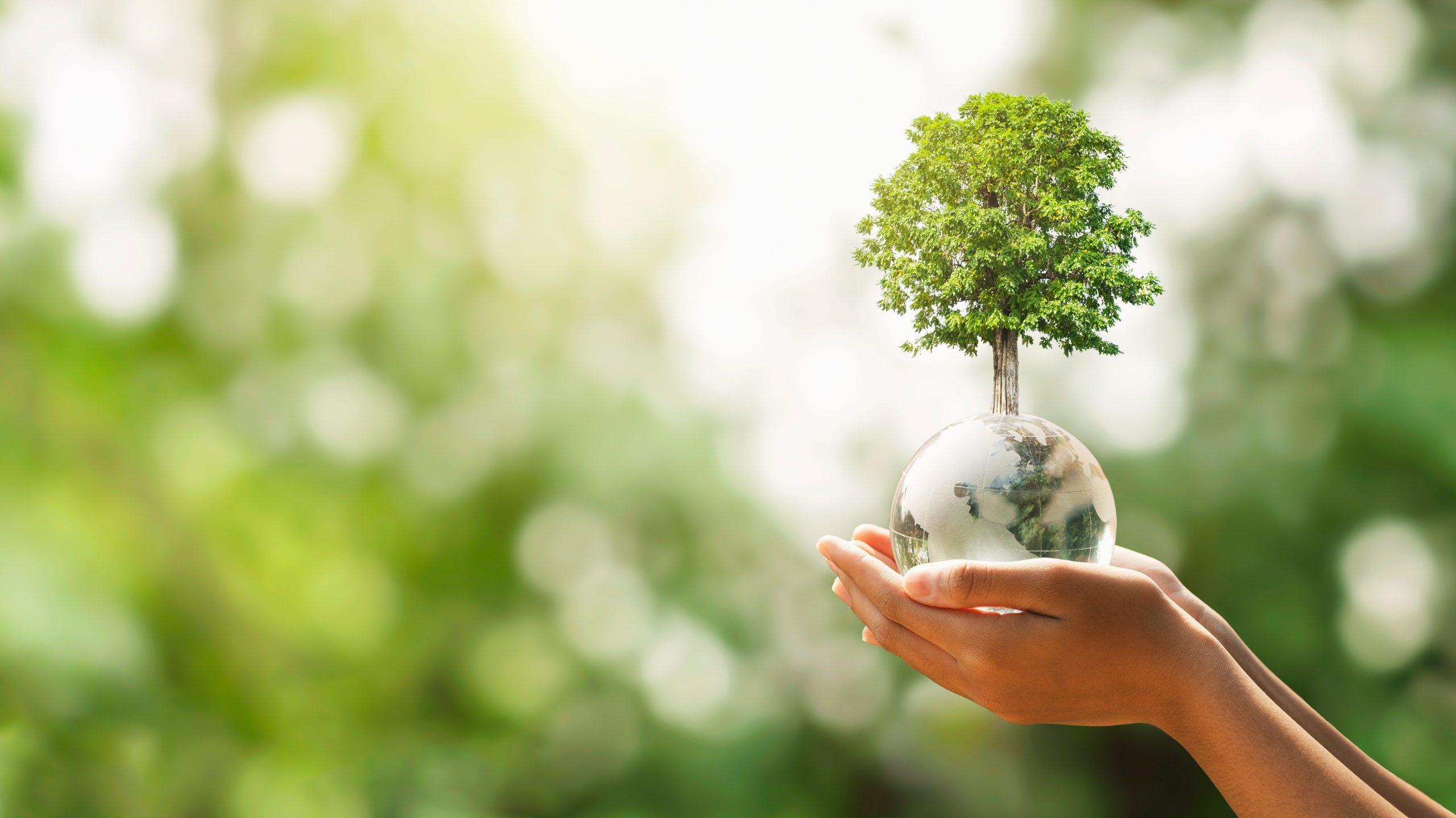 Гринвей | Стать Партнёром!