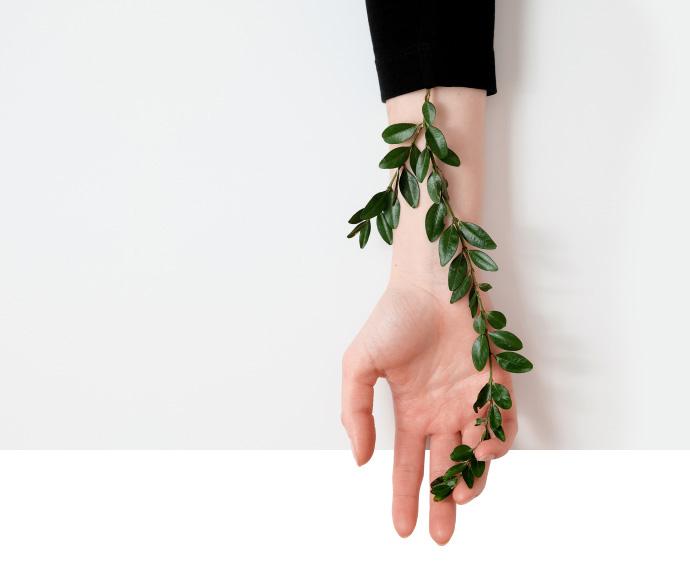 Гринвей | Поддержка!