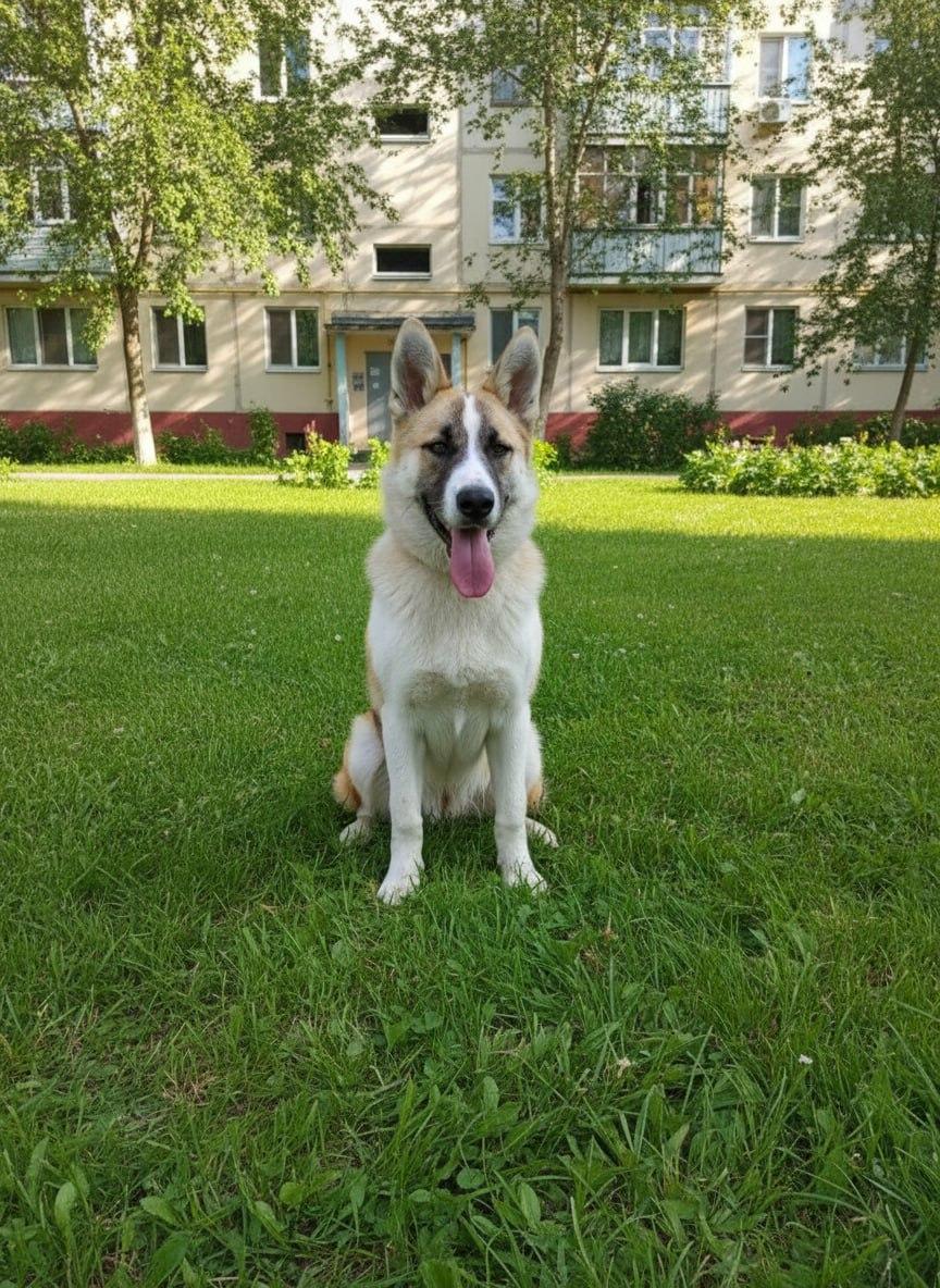 Верный друг