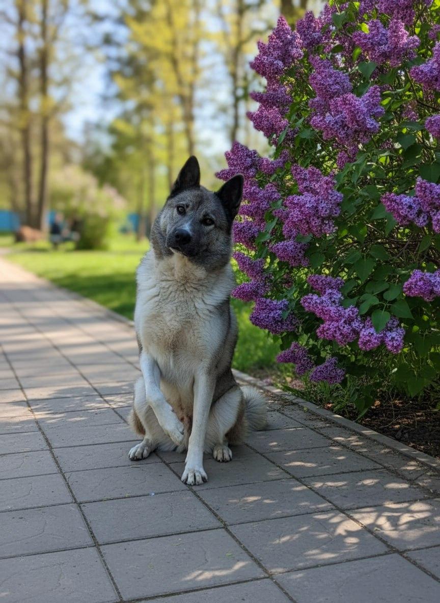 Верный друг