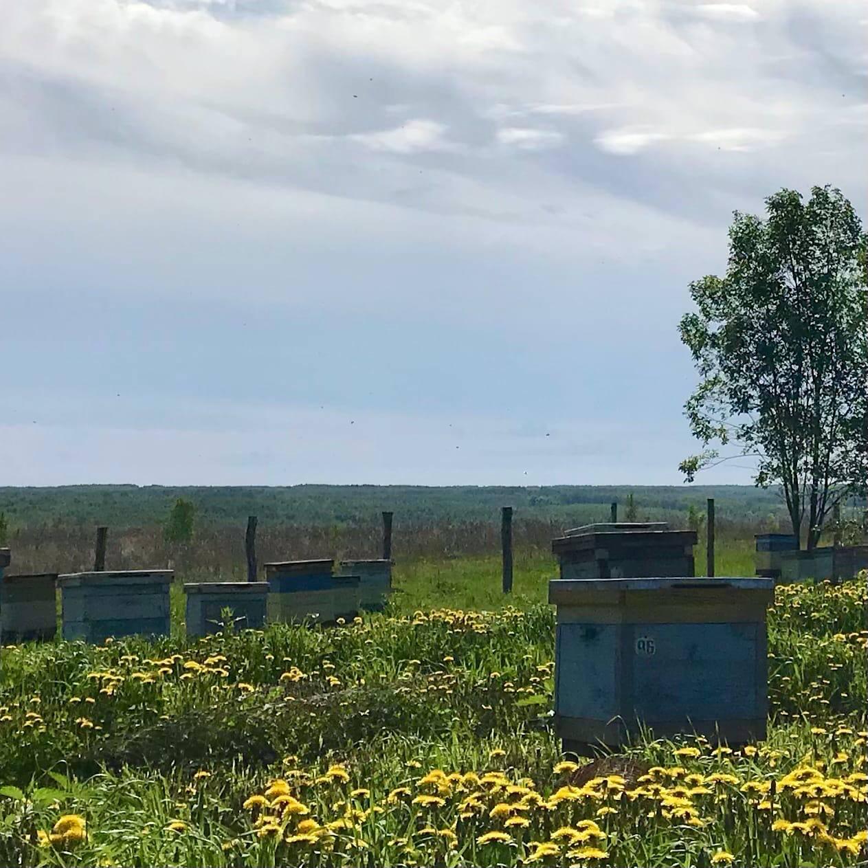 double image second part