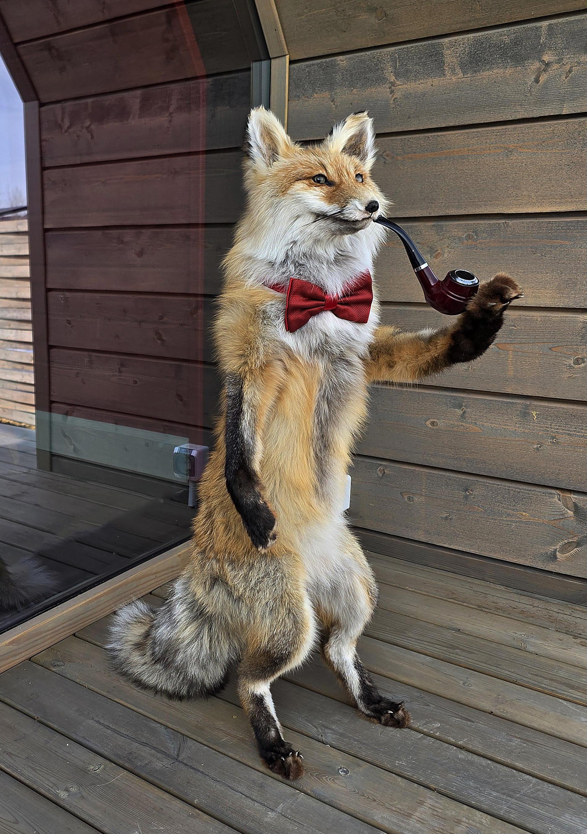 База отдыха Лисий берег Воронеж