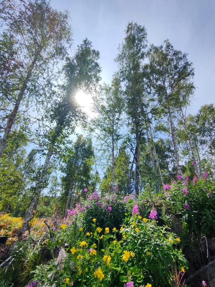 double image fisrt part