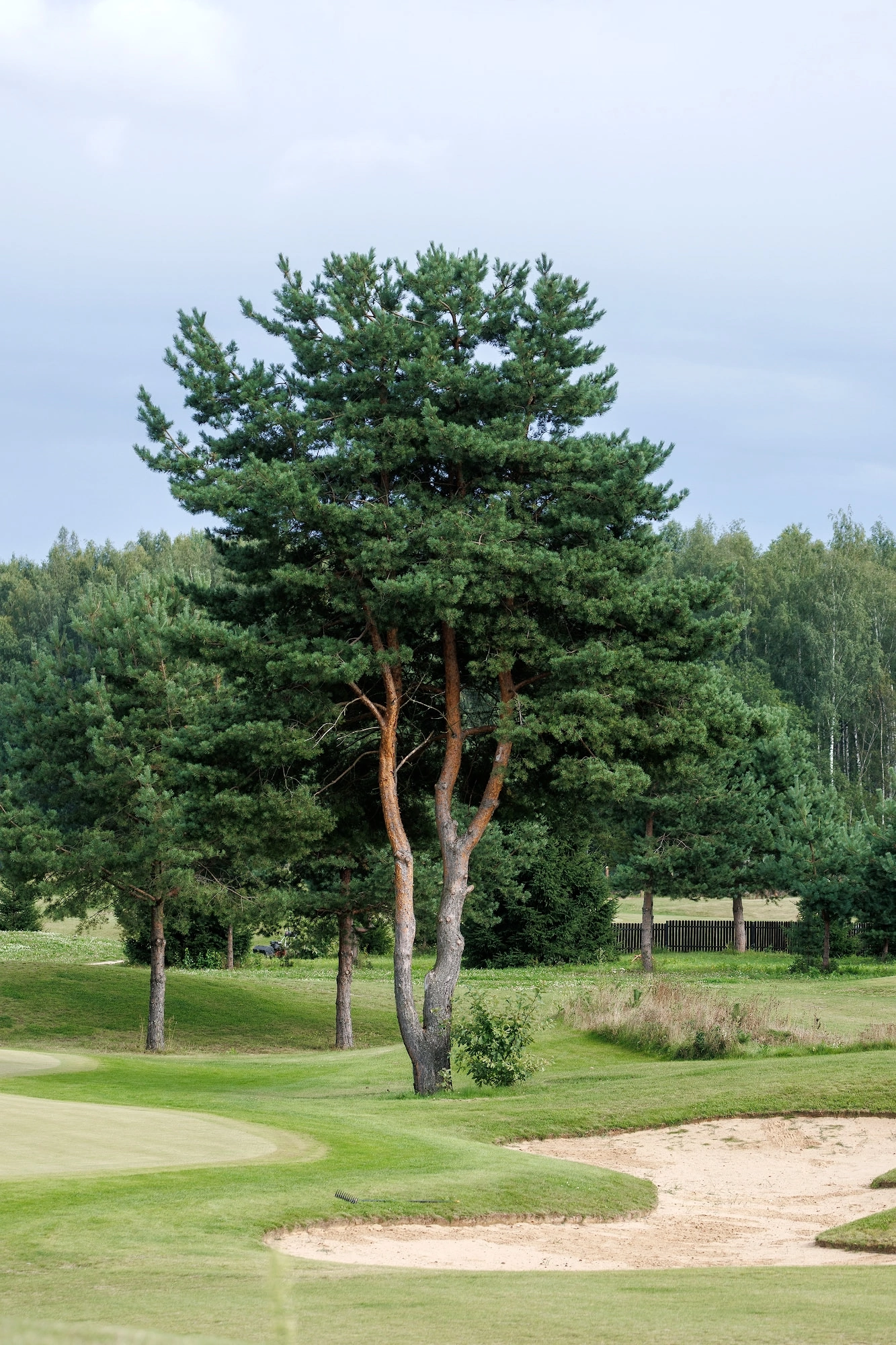 double image fisrt part