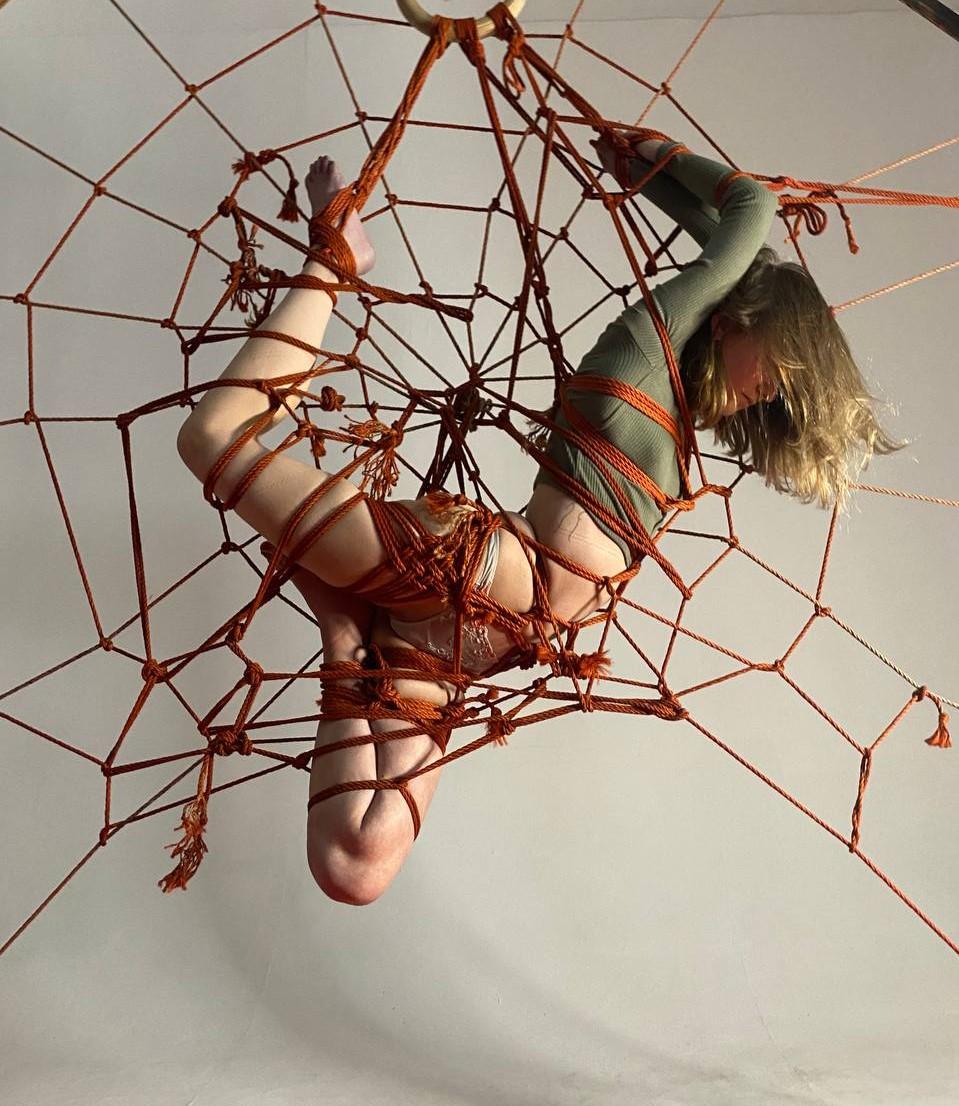 Шибари Баронарди