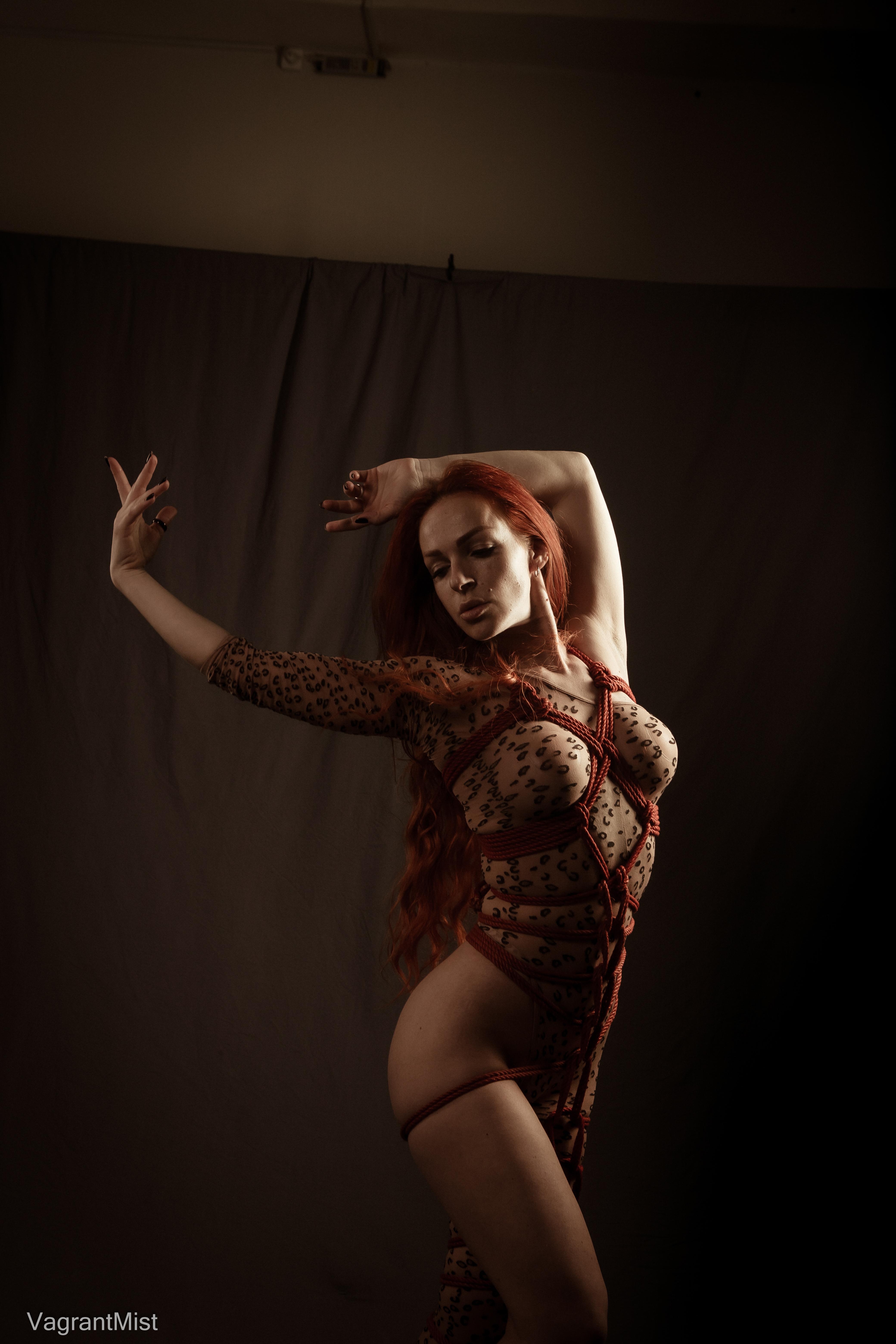 Шибари Баронарди