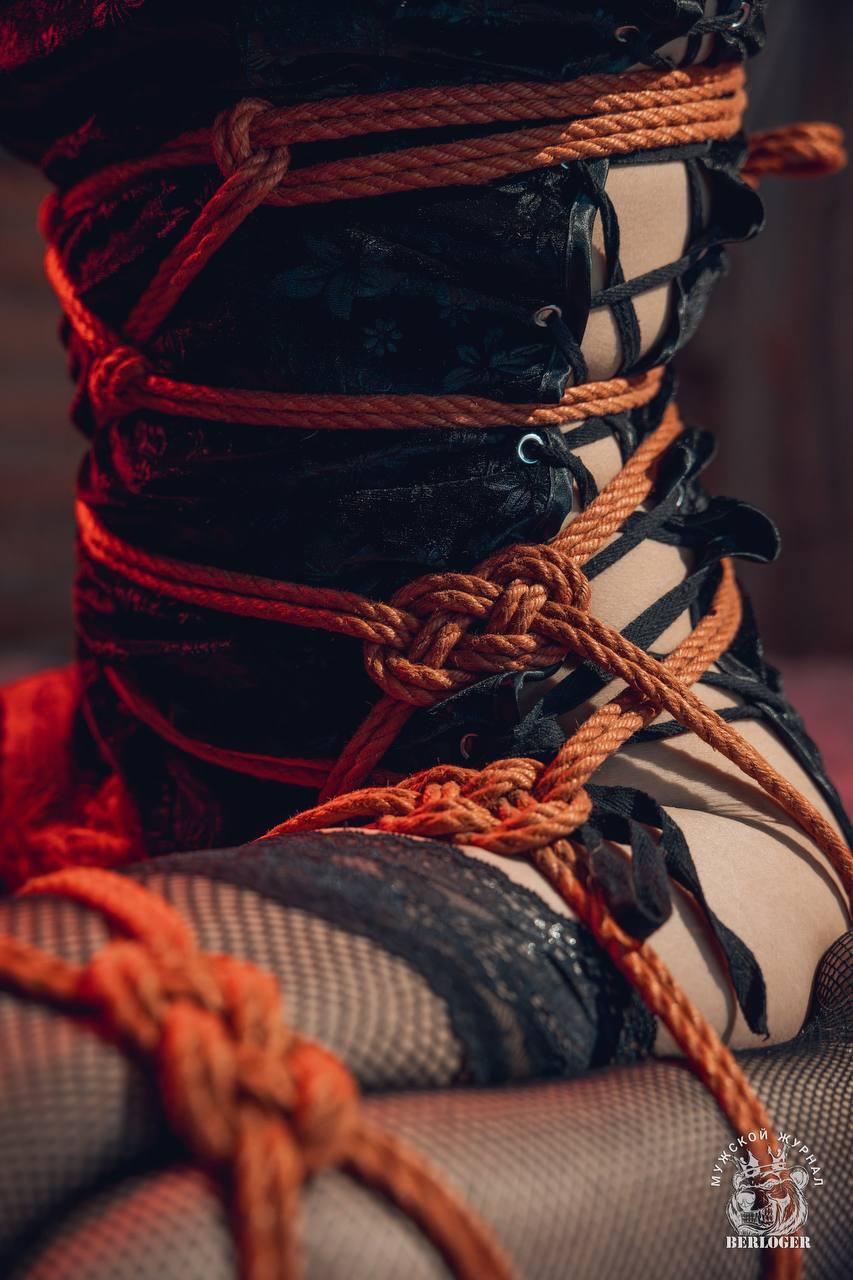 Шибари Баронарди