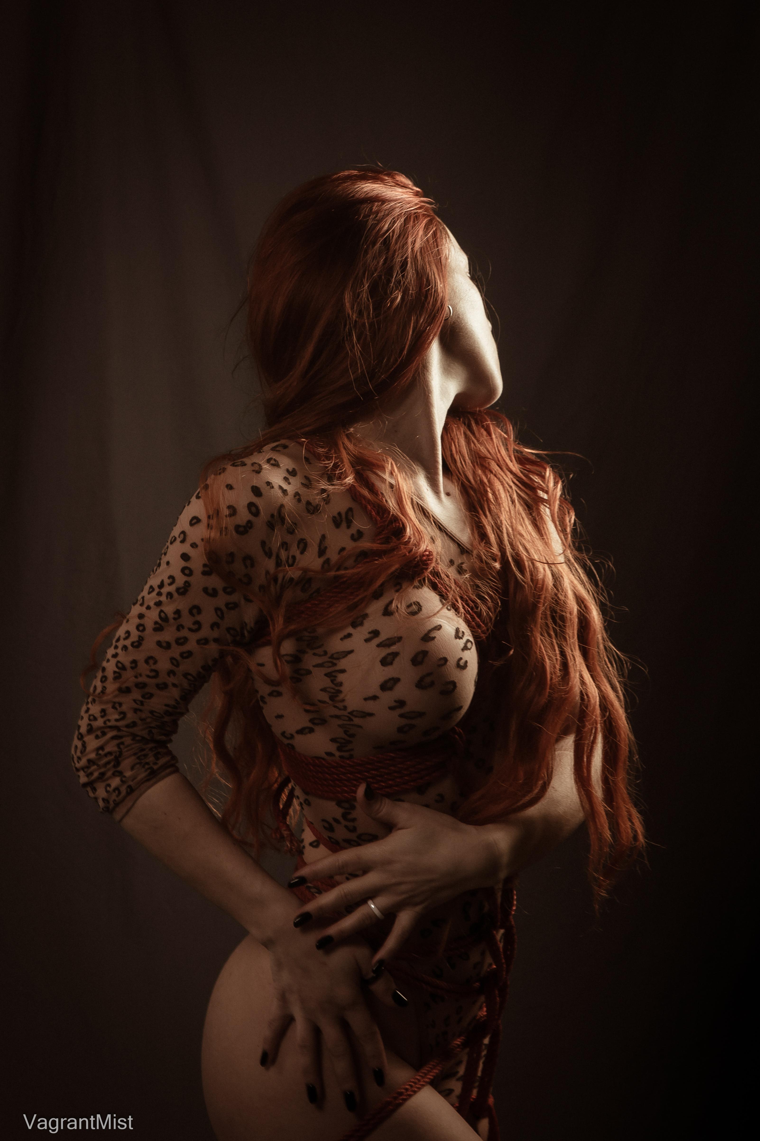 Шибари Баронарди