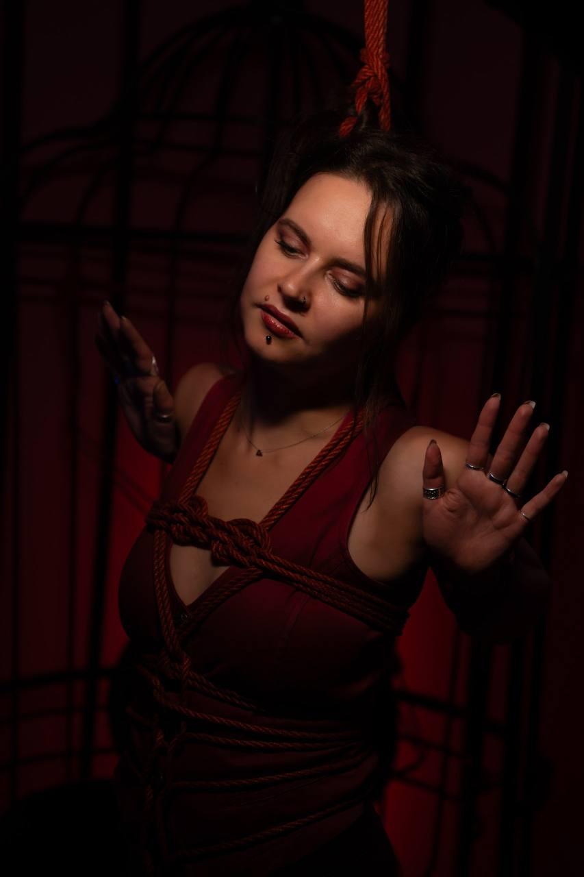 Шибари Баронарди