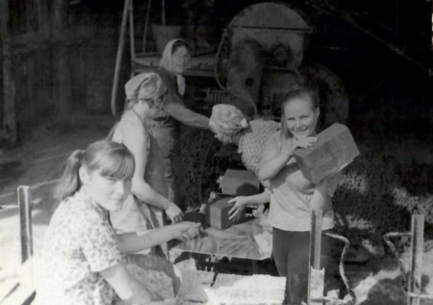 image alt