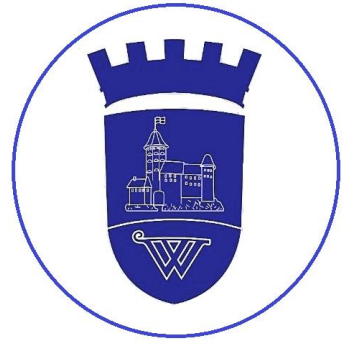 Вымпел Клуба