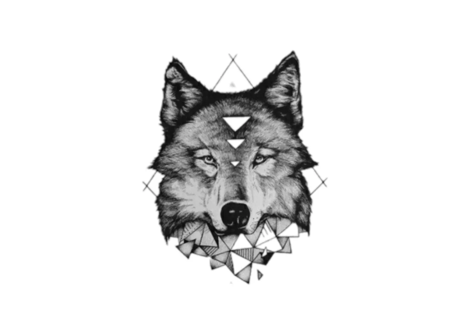 goods image