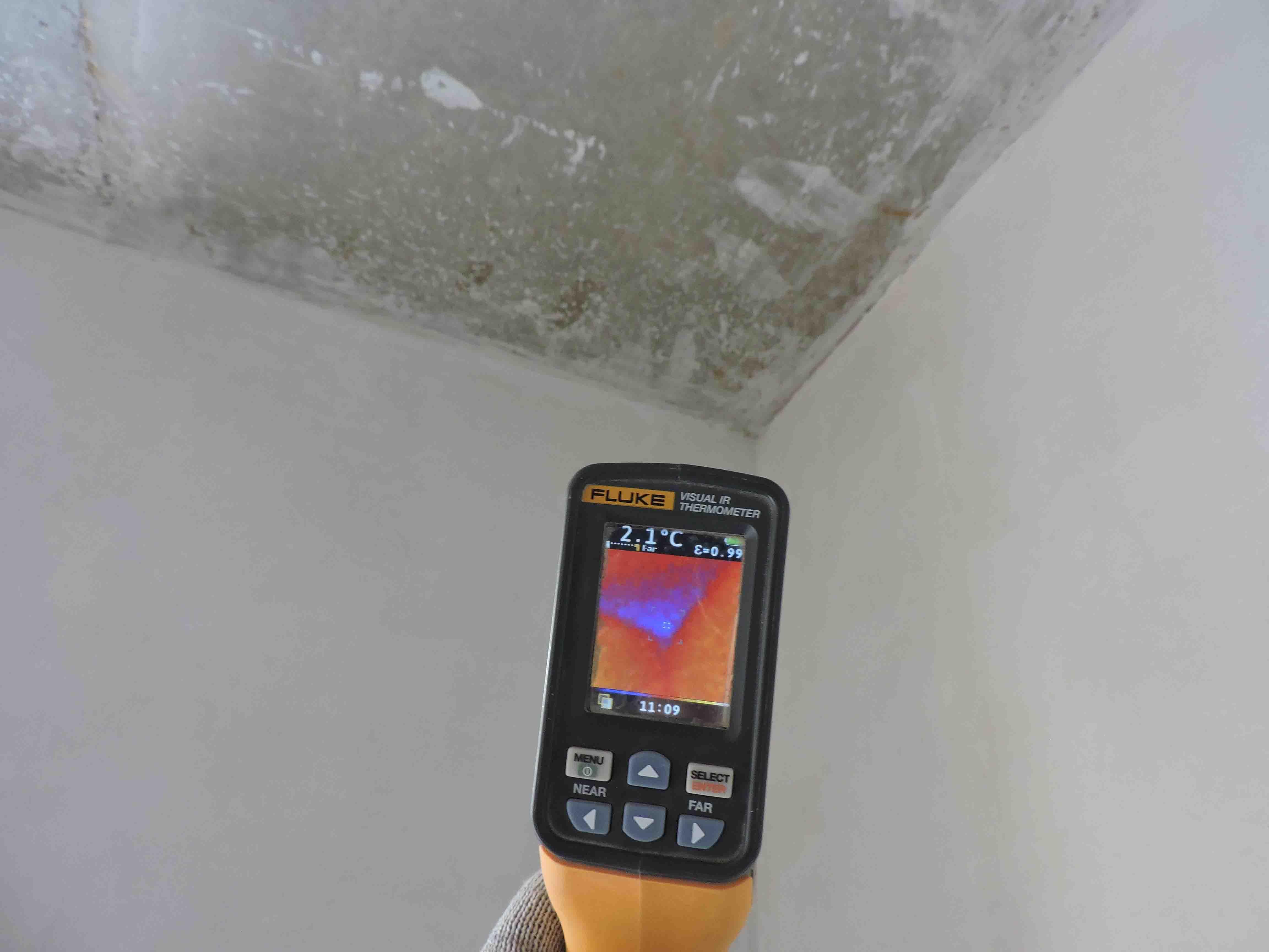 Тепловизионный осмотр