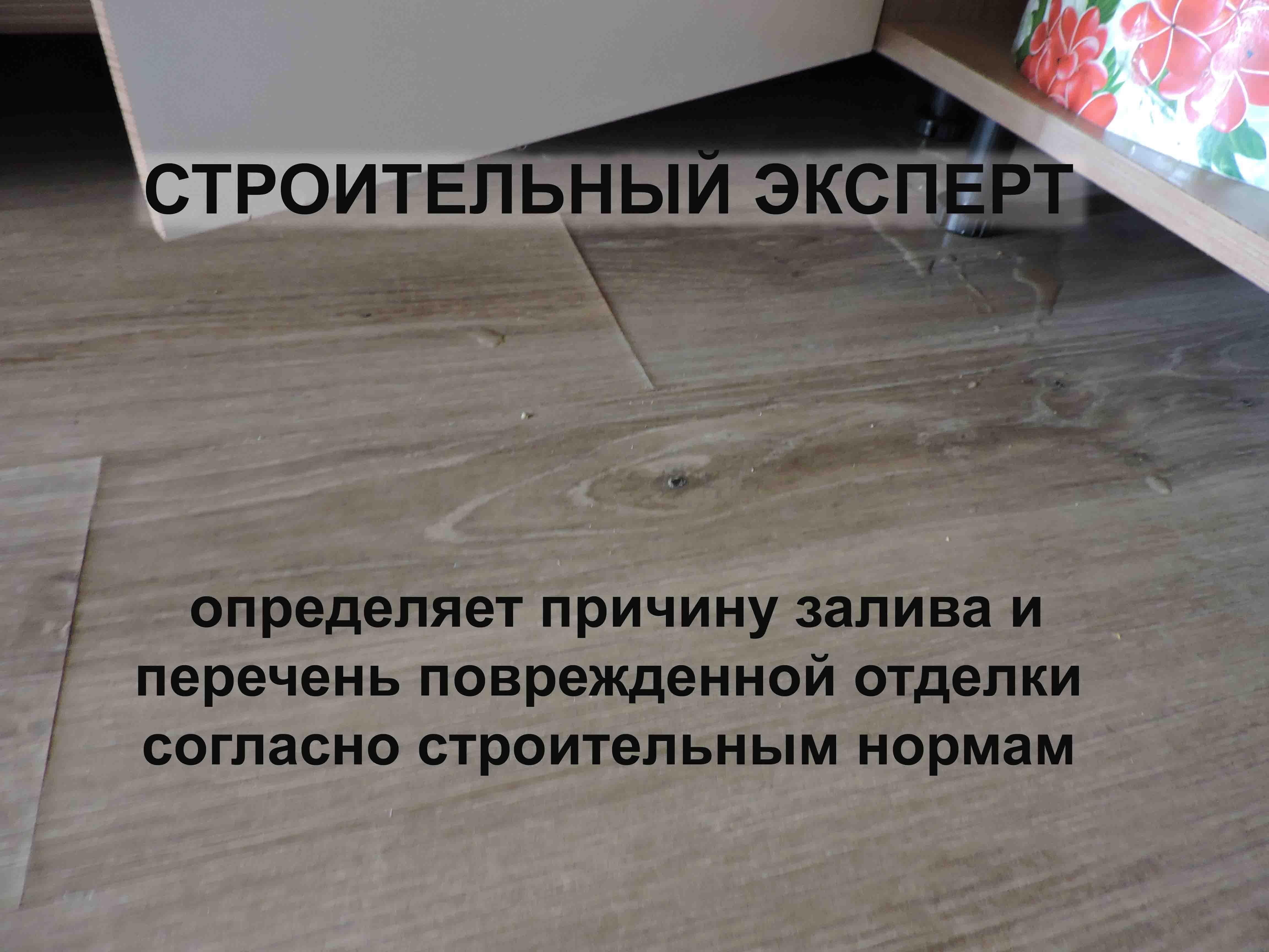 Строительный эксперт с документами