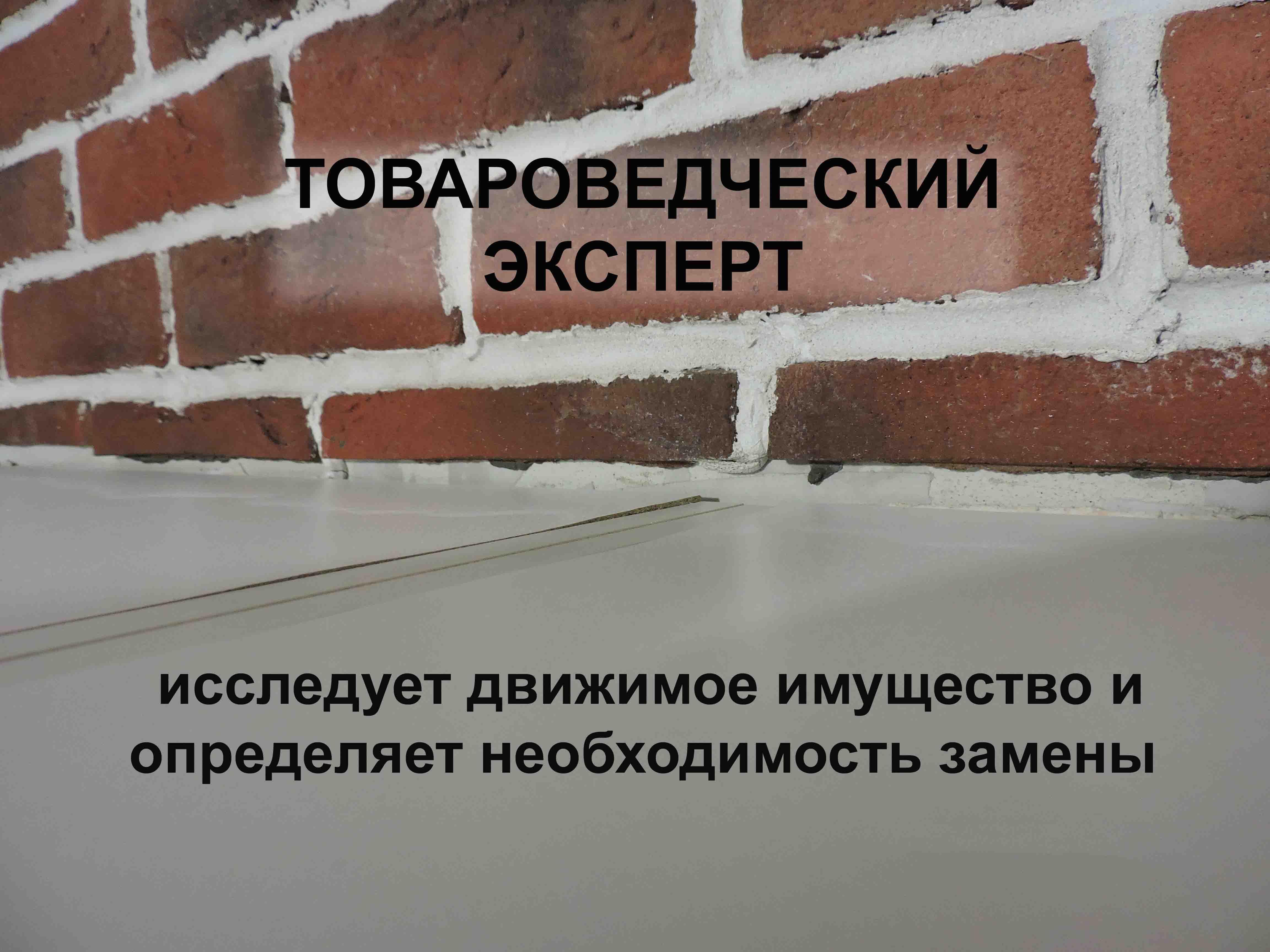 Товароведческий эксперт с документами