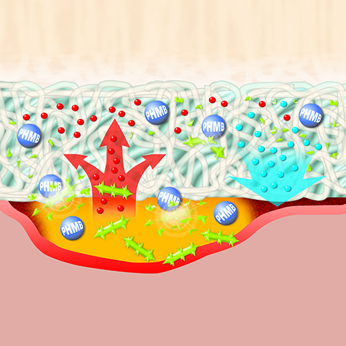 SUPRASORB X+PHMB 