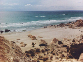 image alt