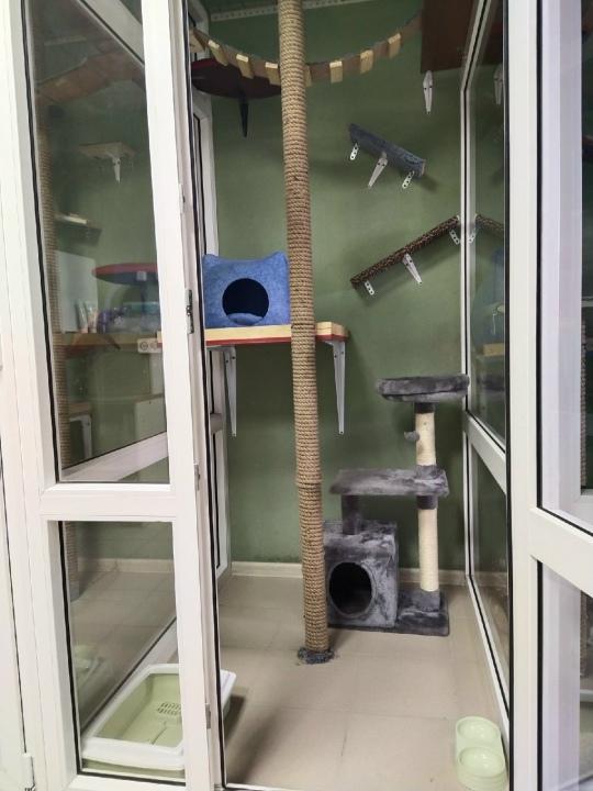 goods image