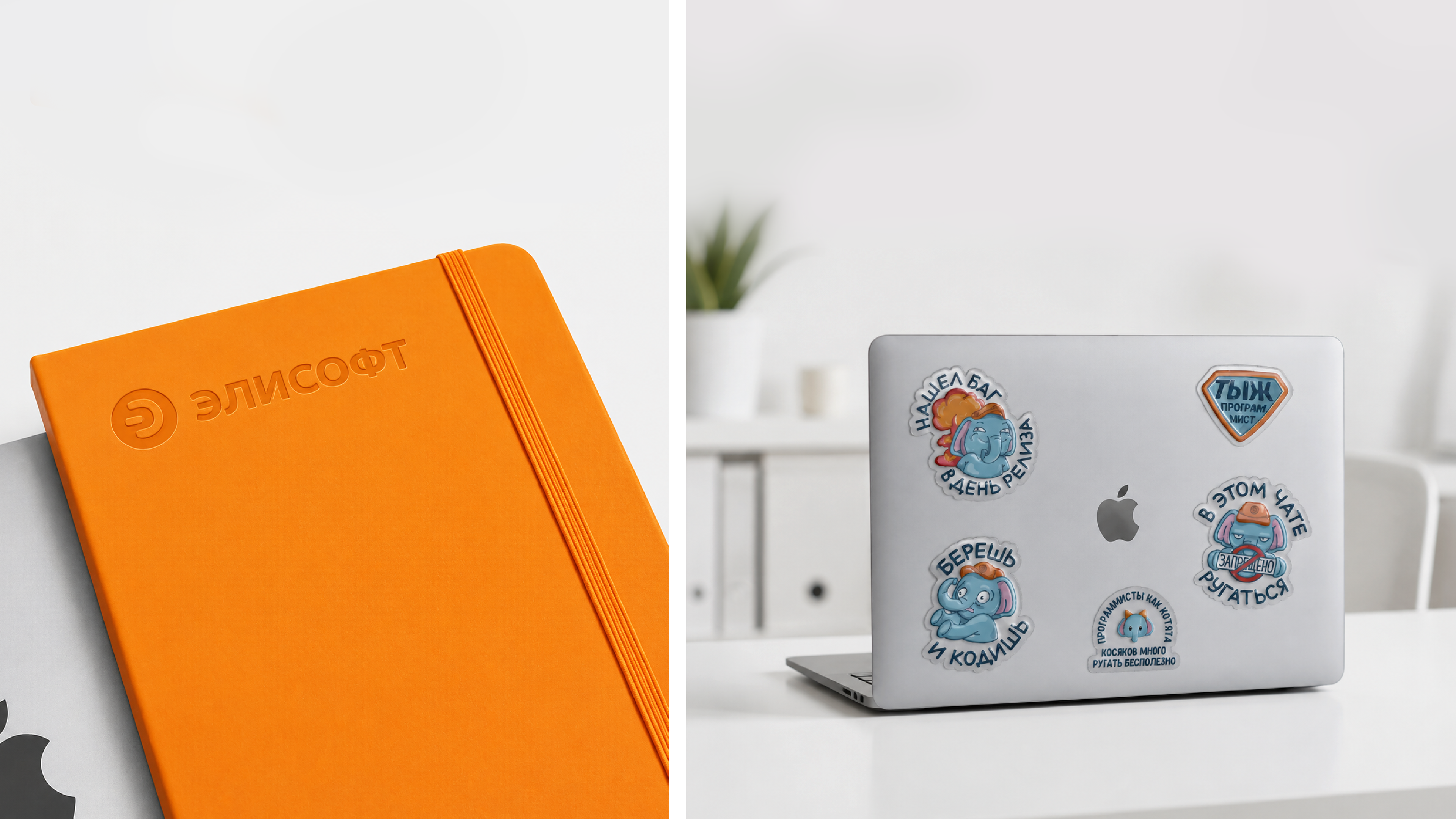 flower03 preview