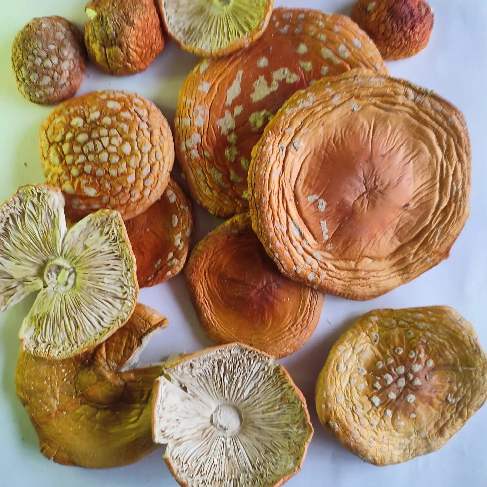 goods image