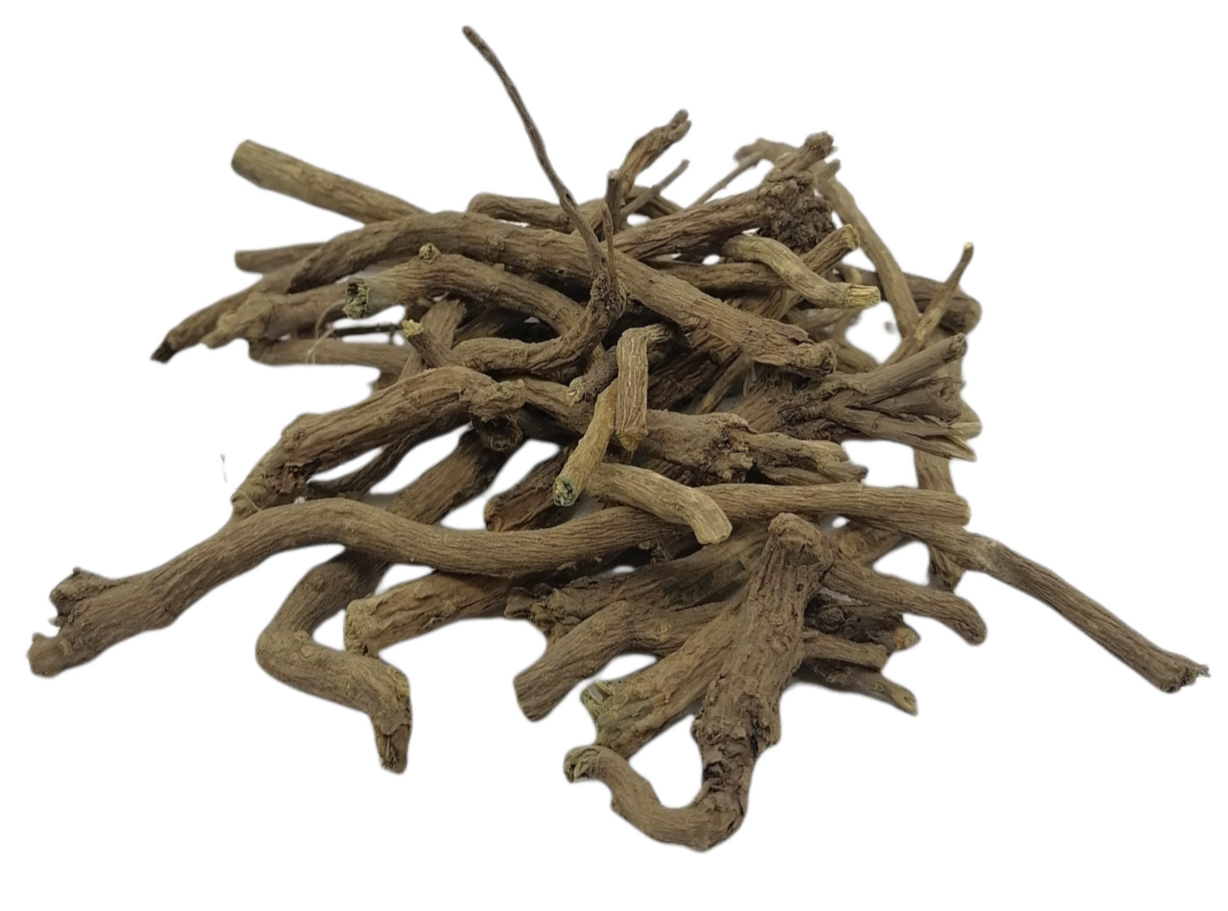 Корень шлемника байкальского