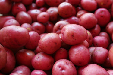 Картофель красный