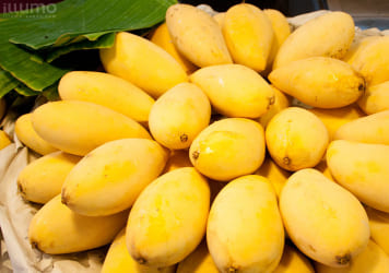 купить манго тайский