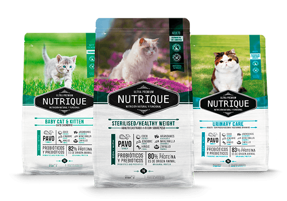 Nutrique