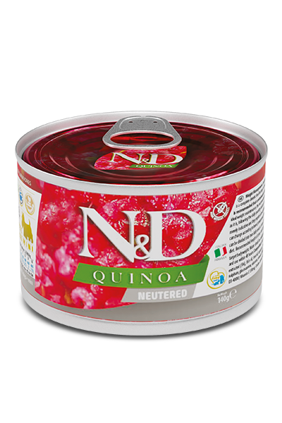 Neutered Adult Mini
