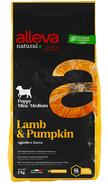 Lamb & BlueberryPuppy Mini